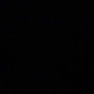 Meet your Posher, Perla